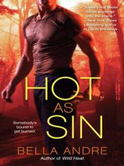 Cover of: Hot as Sin