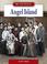 Cover of: Angel Island