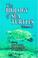 Cover of: The Biology of Sea Turtles, Volume II