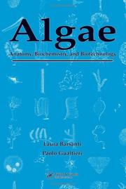 Algae by Paolo Gualtieri