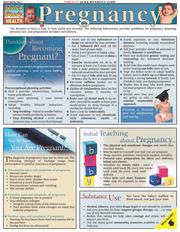 Cover of: QuickStudy - Pregnancy