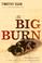 Cover of: The big burn