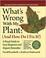 Cover of: What's wrong with my plant (and how do I fix it?)