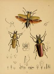 Cover of: The cabinet of oriental entomology | John Obadiah Westwood