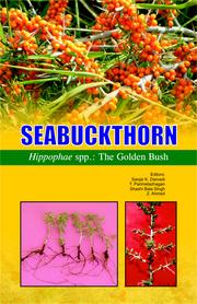 Seabuckthorn by Sanjai K Dwivedi