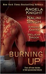 Cover of: Burning Up