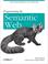 Cover of: Programming the Semantic Web