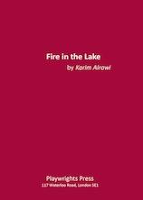 Cover of: Fire in the Lake by 