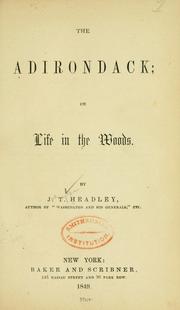 Cover of: The Adirondack by Joel Tyler Headley