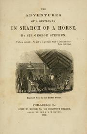 Cover of: The adventures of a gentleman in search of a horse