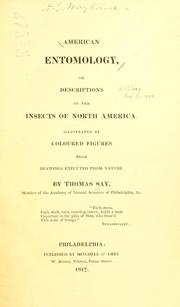Cover of: American entomology, or, Descriptions of the insects of North America by Say, Thomas