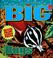 Cover of: Big bugs