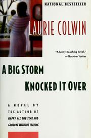 Cover of: A big storm knocked it over: a novel