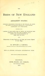 Cover of: The birds of New England and adjacent states by Edward A. Samuels