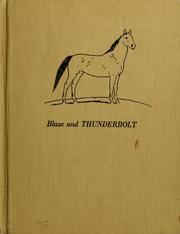 Cover of: Blaze and Thunderbolt ... by C. W. Anderson