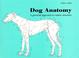 Cover of: Dog Anatomy