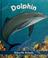 Cover of: Dolphin