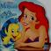 Cover of: Disney's the little mermaid