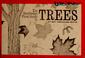 Cover of: The Doubleday first guide to Trees
