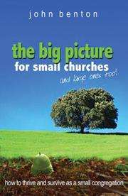 Cover of: The Big Picture for Small Churches and Large Ones, Too! by John Benton