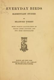 Cover of: Everyday birds: elementary studies
