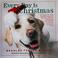 Cover of: Every day is Christmas