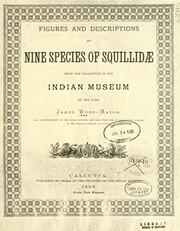 Cover of: Figures and descriptions of nine species of Squillidae by J. Mason