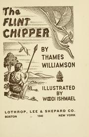 Cover of: The flint chipper by Thames Williamson