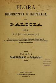 Cover of: Flora descriptiva é illustrada de Galicia by Baltasar Merino