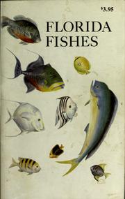 Cover of: Florida fishes: salt and freshwater fishes