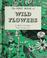Cover of: The first book of wild flowers