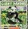Cover of: Giant pandas