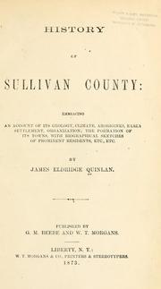 Cover of: History of Sullivan county: embracing an account of its geology, climate, aborigines, early settlement, organization ; the formation of its towns with biographical sketches of prominent residents