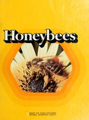 Cover of: Honeybees by Jane Lecht