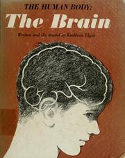 Cover of: The human body: the brain