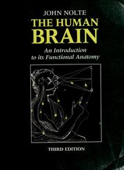 Cover of: The human brain | John Nolte