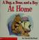 Cover of: A bug, a bear, and a boy at home