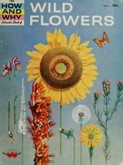 Cover of: The how and why wonder book of wild flowers