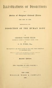 Cover of: Illustrations of dissections: in a series of original colored plates the size of life representing the dissection of the human body