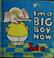 Cover of: I'm a big boy now.