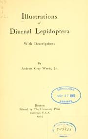 Cover of: Illustrations of diurnal Lepidoptera | Weeks, Andrew Gray, jr.