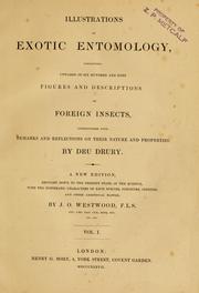 Cover of: Illustrations of exotic entomology: containing upwards of six hundred and fifty figures and descriptions of foreign insects, interspersed with remarks and reflections on their nature and properties