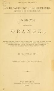 Cover of: Insects affecting the orange. by Henry Guernsey Hubbard