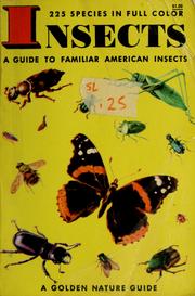 Cover of: Insects: a guide to familiar American insects