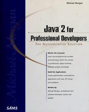 Cover of: Java 2 for professional developers: [the authorative solution]