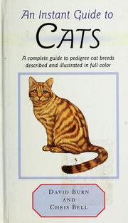Cover of: An instant guide to cats by David Burn