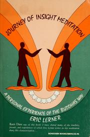 Cover of: Journey of insight meditation by Lerner, Eric.