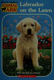 Labrador on the lawn by Lucy Daniels