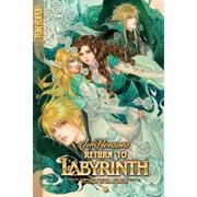 Cover of: Jim Henson's Return to Labyrinth, Volume 4
