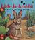 Cover of: Little Jackrabbit